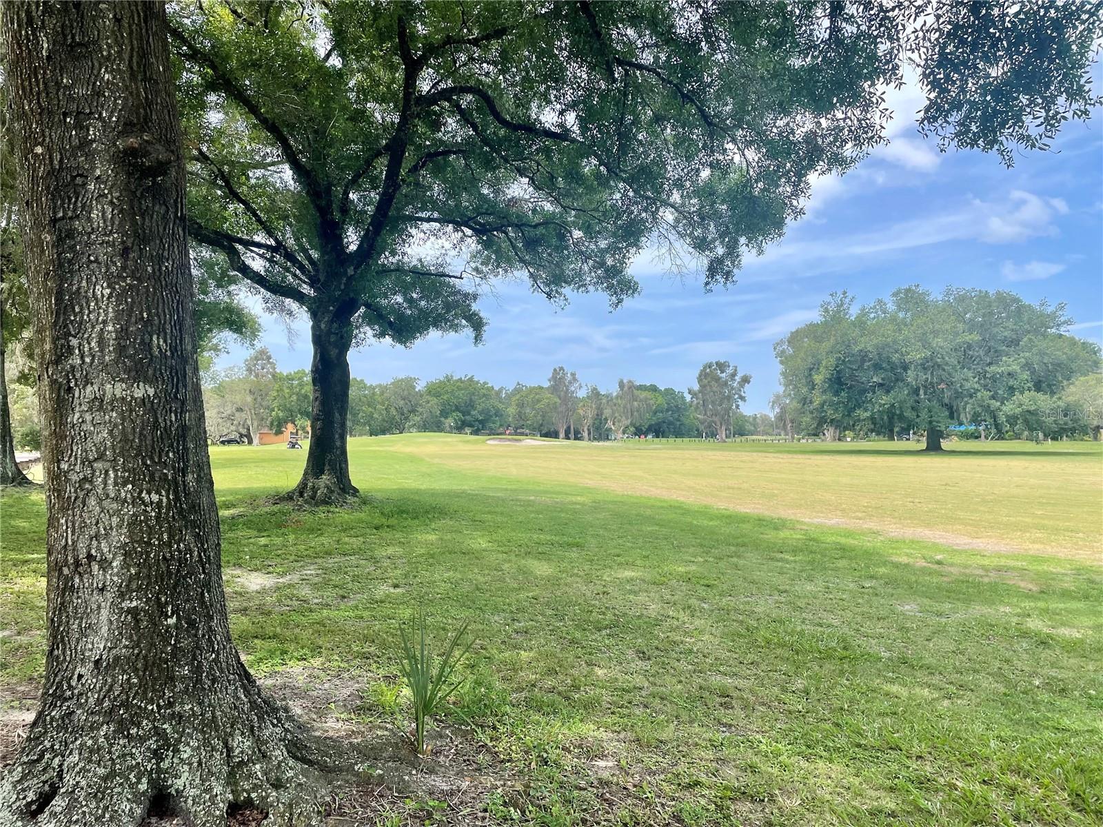View from nearby golf course