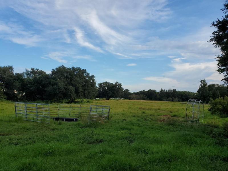 Beautiful Pasture Land with Big Trees!