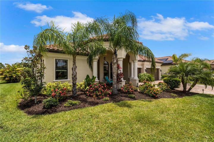 Palms and shrubbery