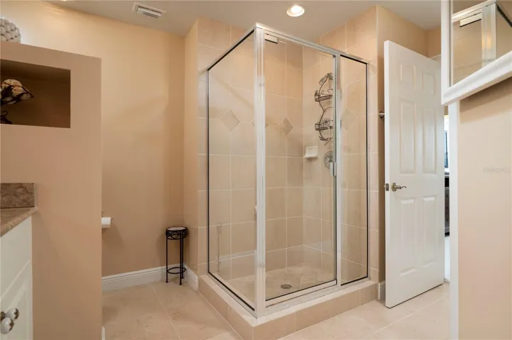 Primary Shower