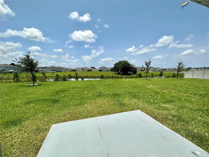 Backyard/View