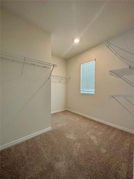 Master Closet