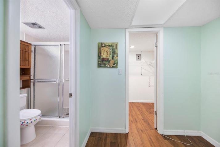 Master bath, walk in closet
