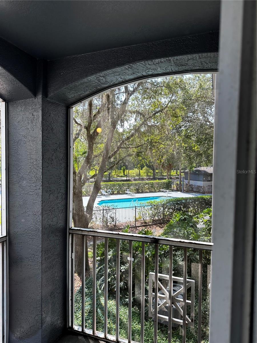 8513- view from patio