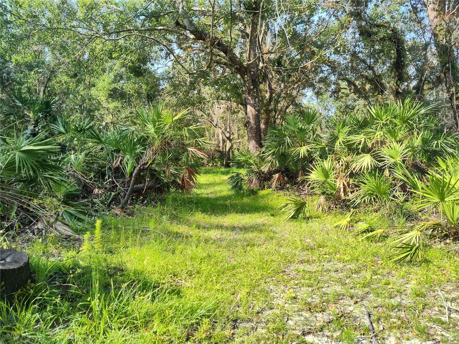 Trails throughout the property