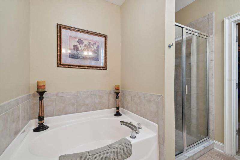 Separate Shower and socking tub