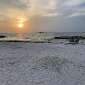 Apollo Beach Nature Preserve just a short way