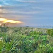 Sunsets at the Preserve
