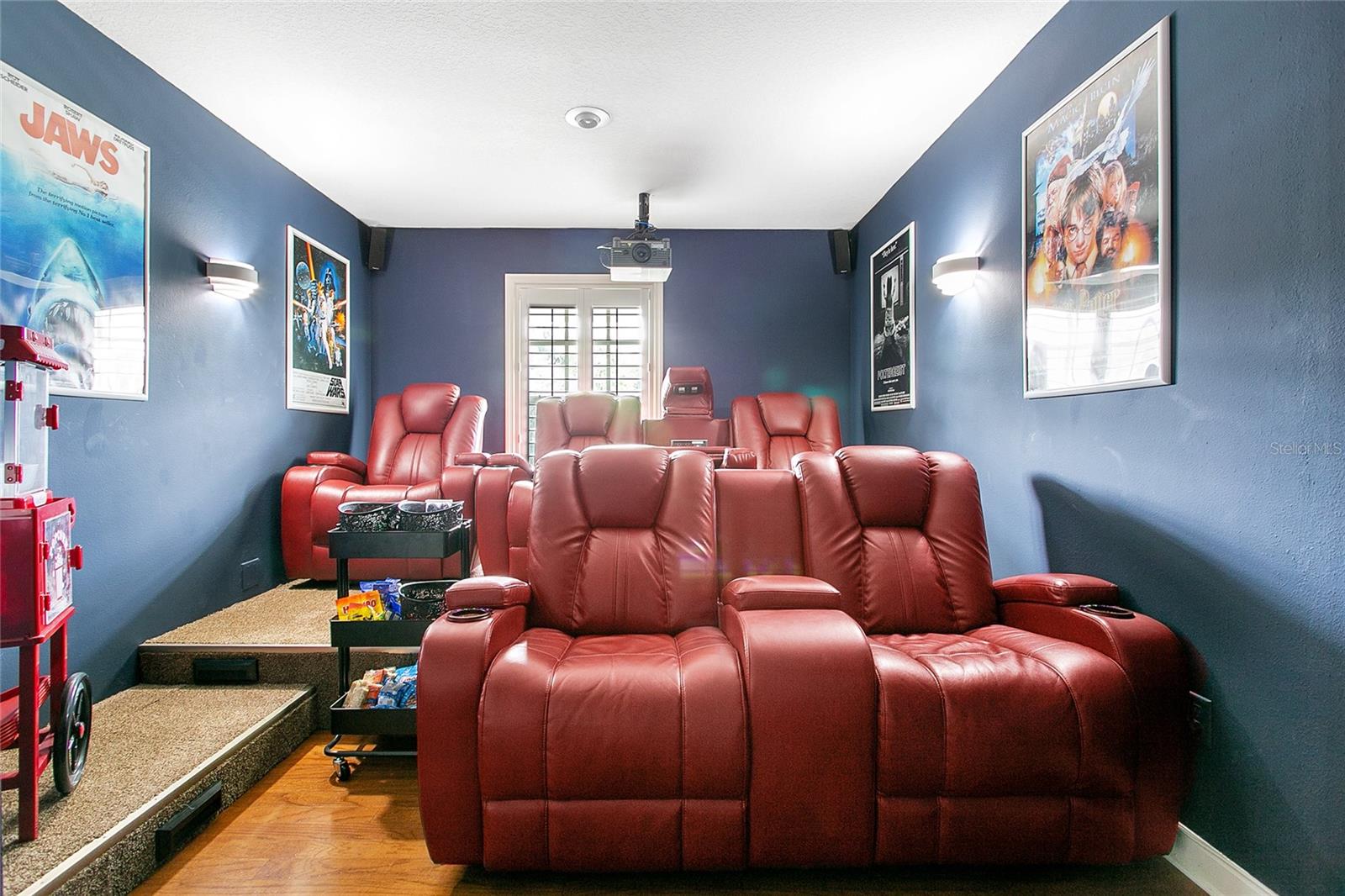 Theater Room