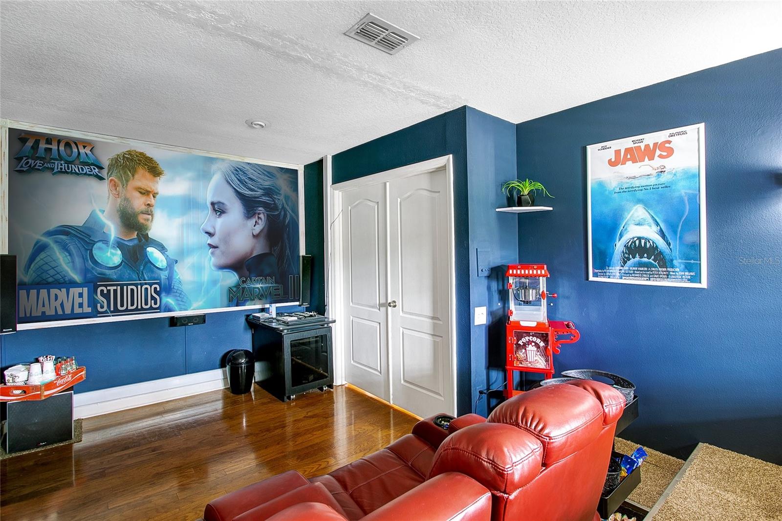 Theater Room