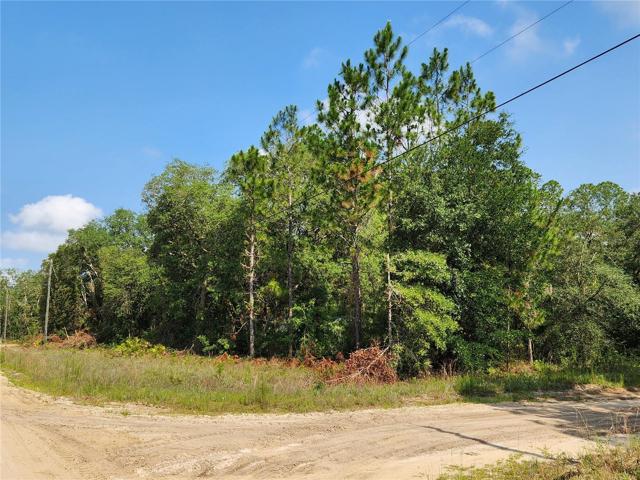 Corner Lot