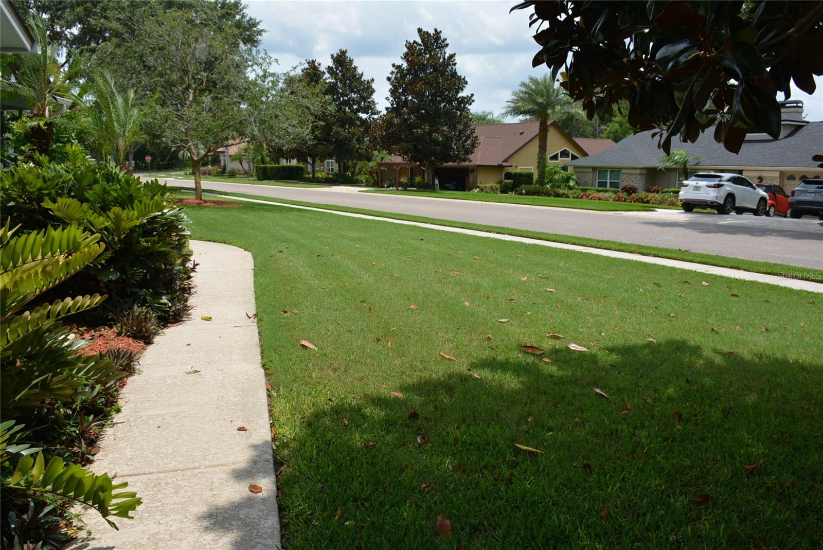 Front walk