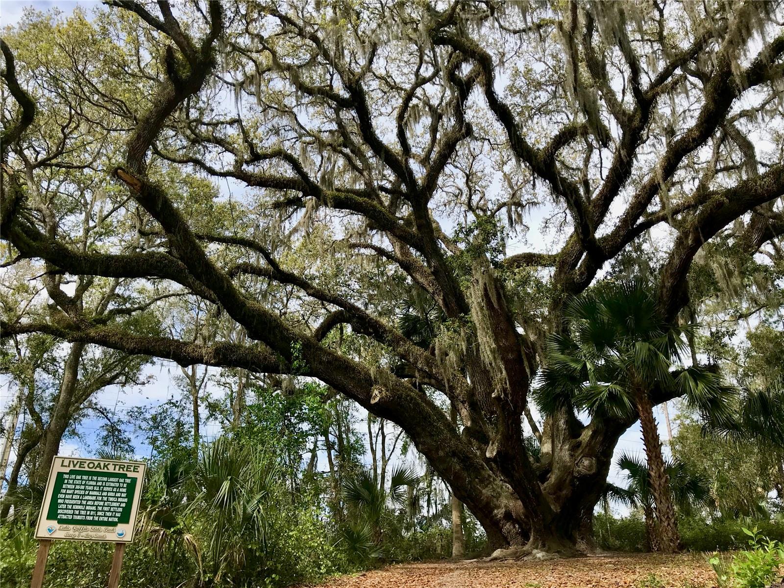 Lake Griffin State Park