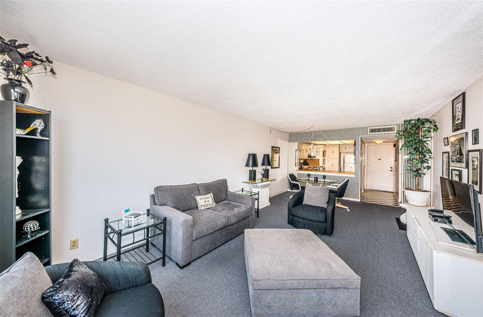 Living Room Area