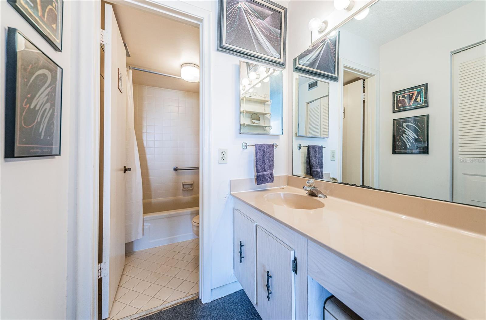Master Bath