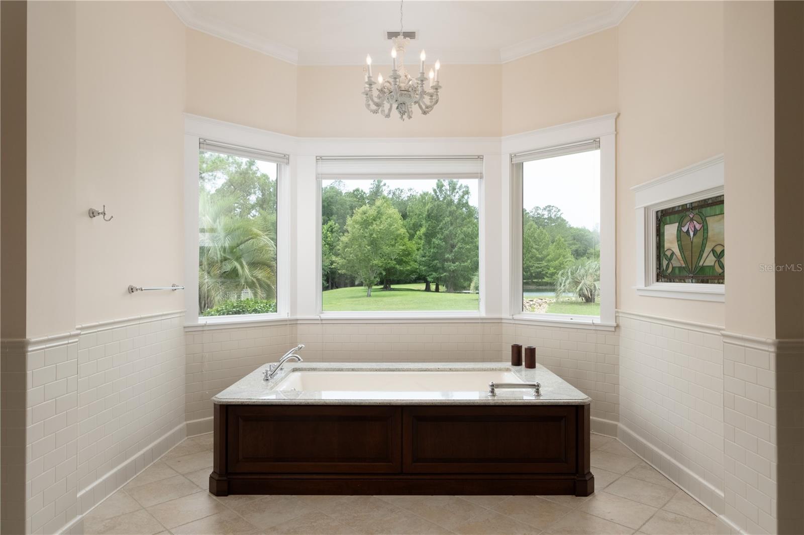 Downstairs Owner's Bathroom w/views of the pond