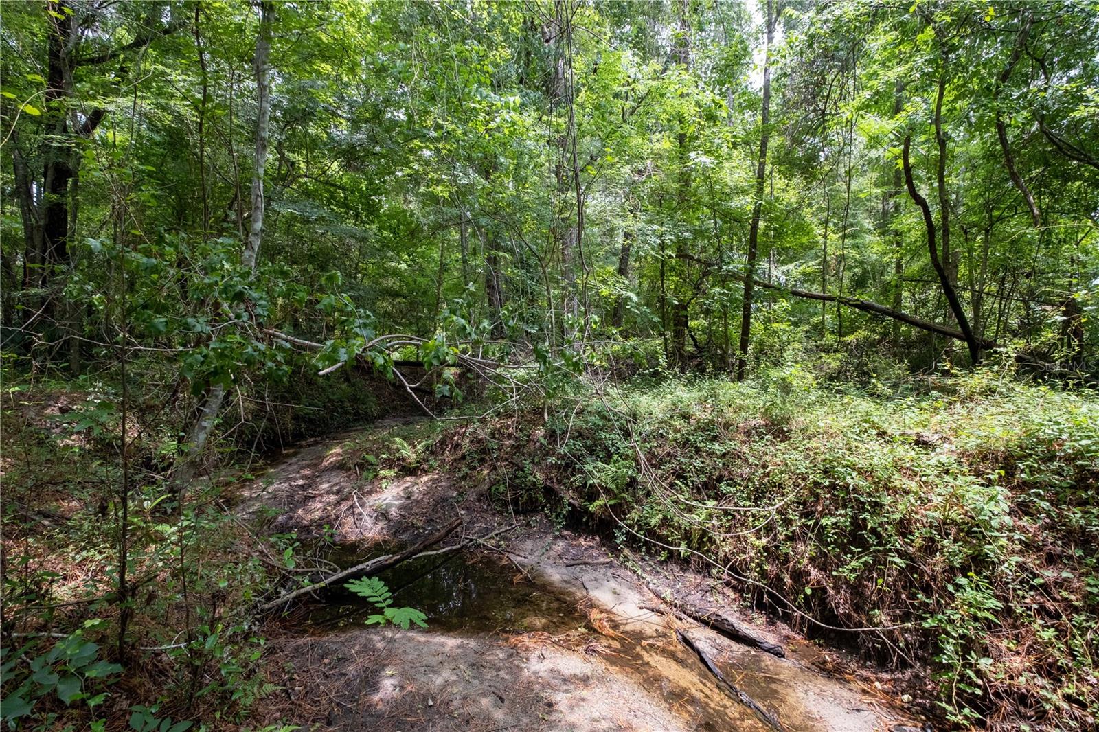Creek (currently low)