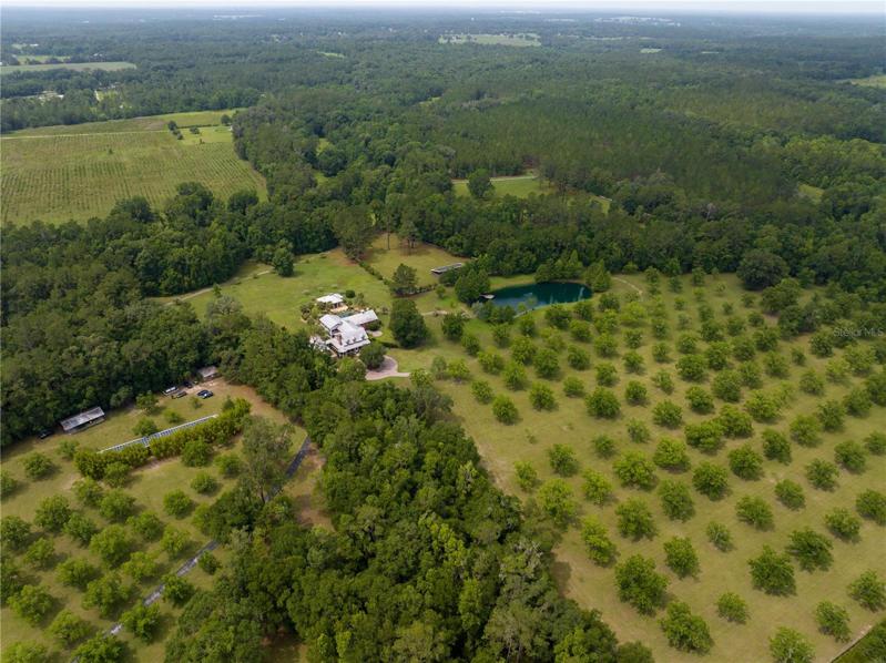 Over 67 acres!