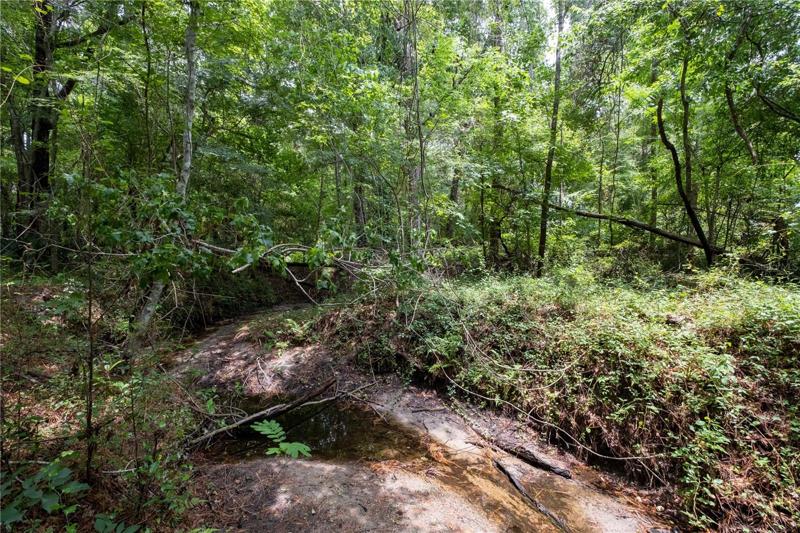 Creek (currently low)