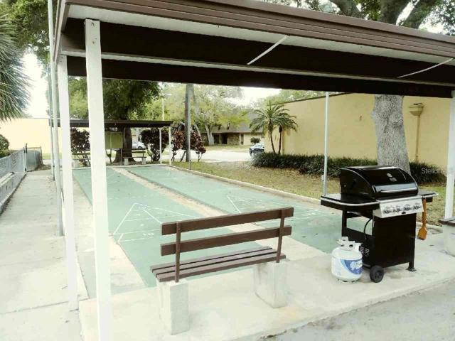 Shuffleboard