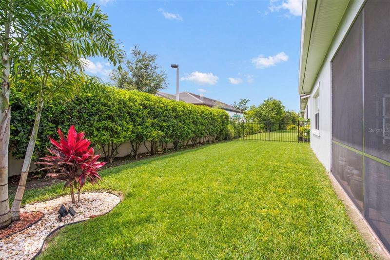 Great backyard space.