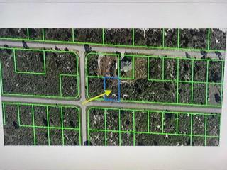 Aerial Lot 31