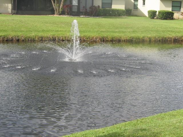 Out back