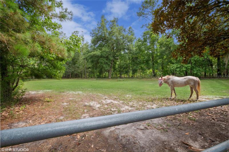 Pasture