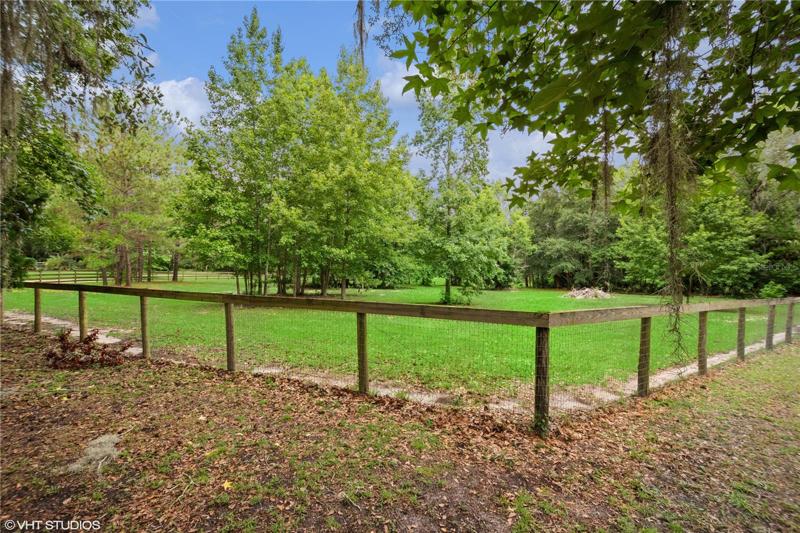 Pasture