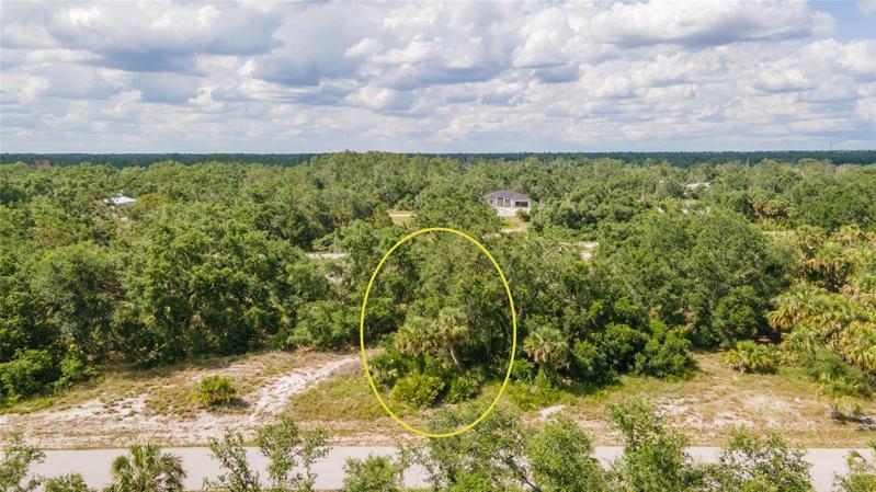 Lot area marked is approximate.