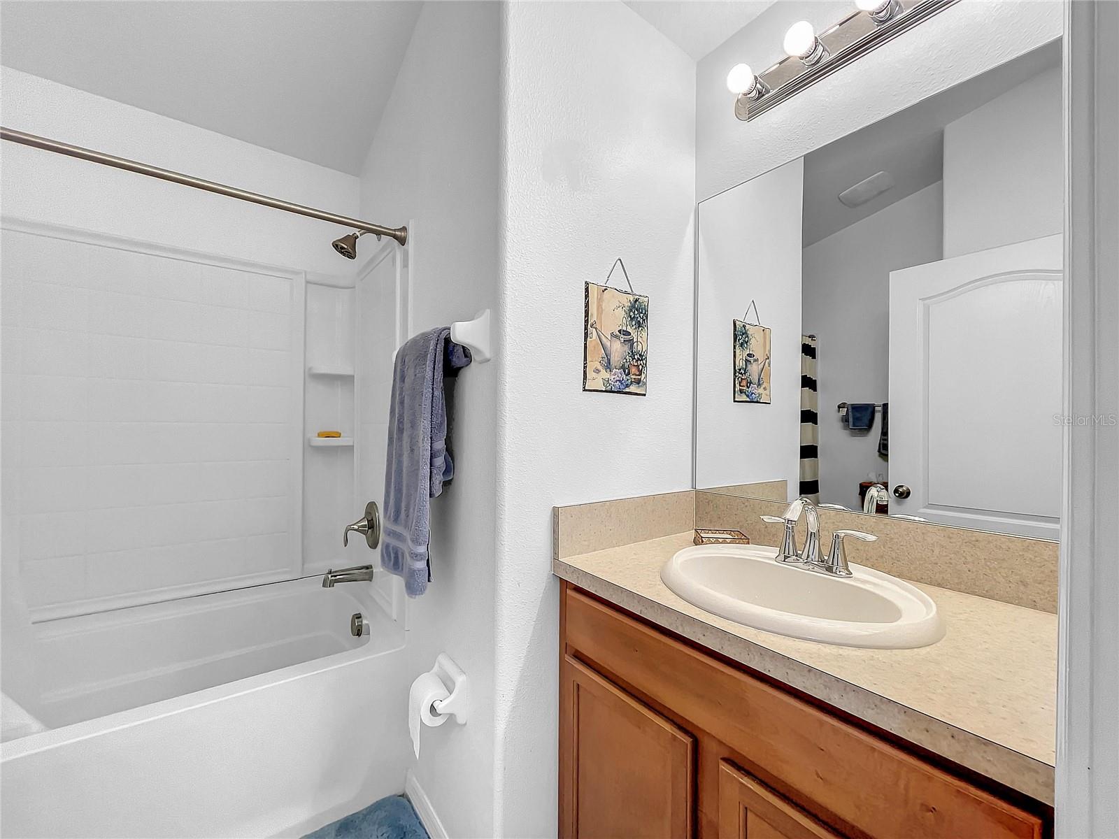 Shower over the tub