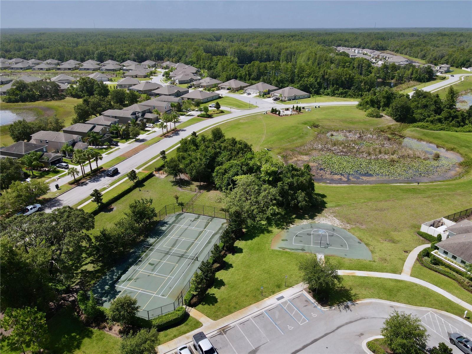Tennis and Basketball courts
