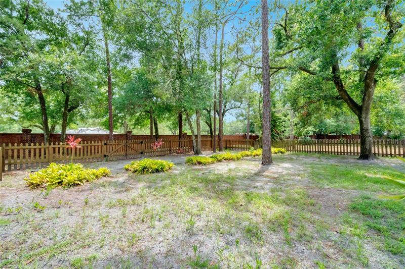 Separate workshop/shed in backyard