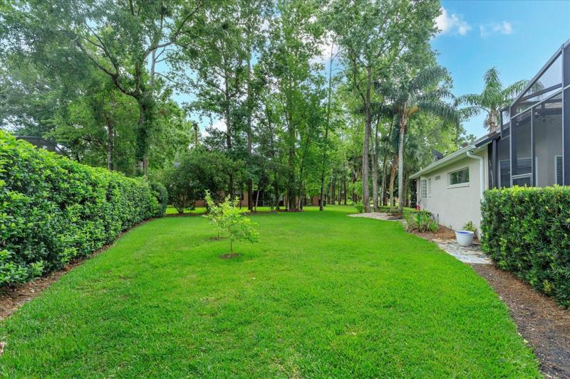 Back yard
