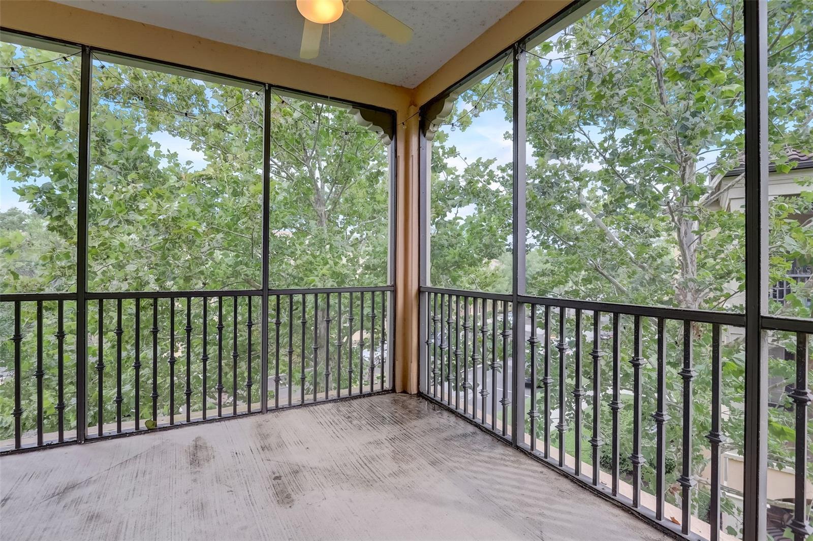 Screened In Lanai