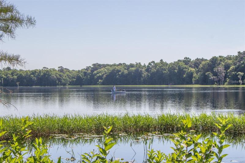 View of Lake Alto