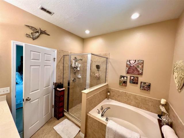 Owner's bathroom