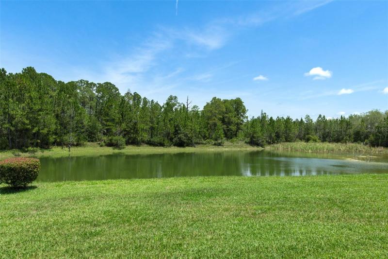 POND VIEW
