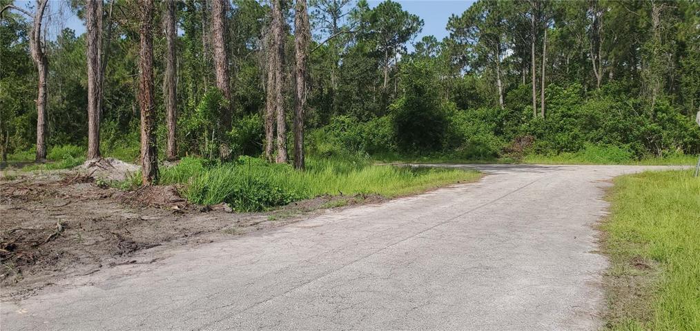 Lot cleared 2