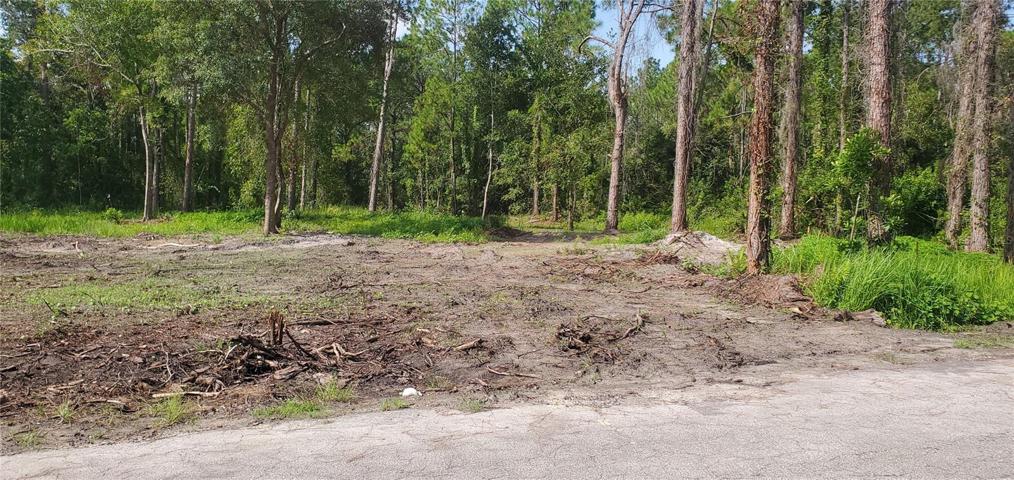 Lot cleared 1