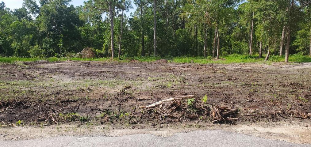 Lot is now cleared