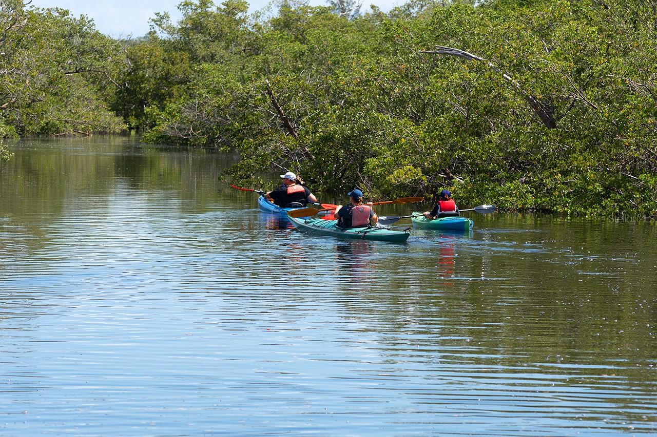 Kayak at nearby Robinson Preserve!