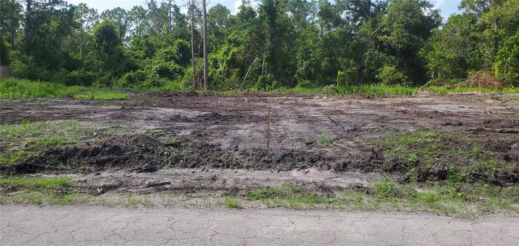 Lot is now cleared