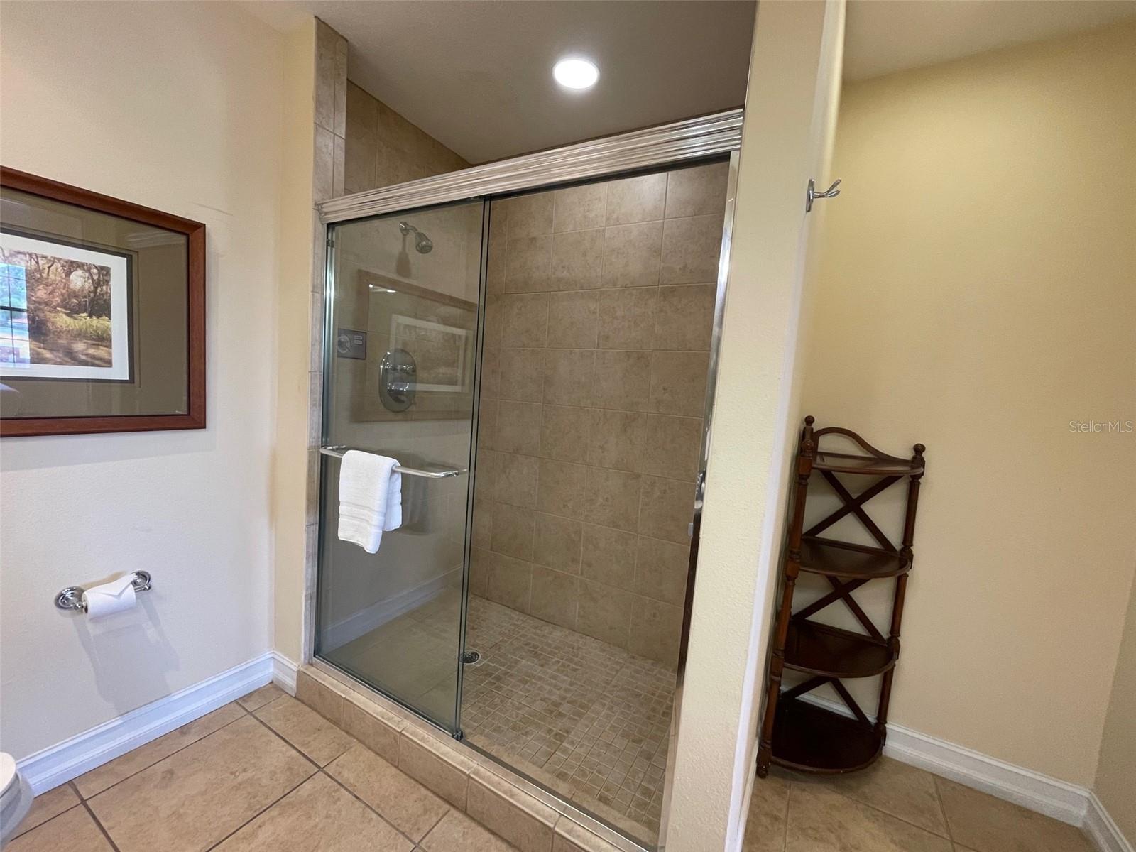 Master shower with body misters