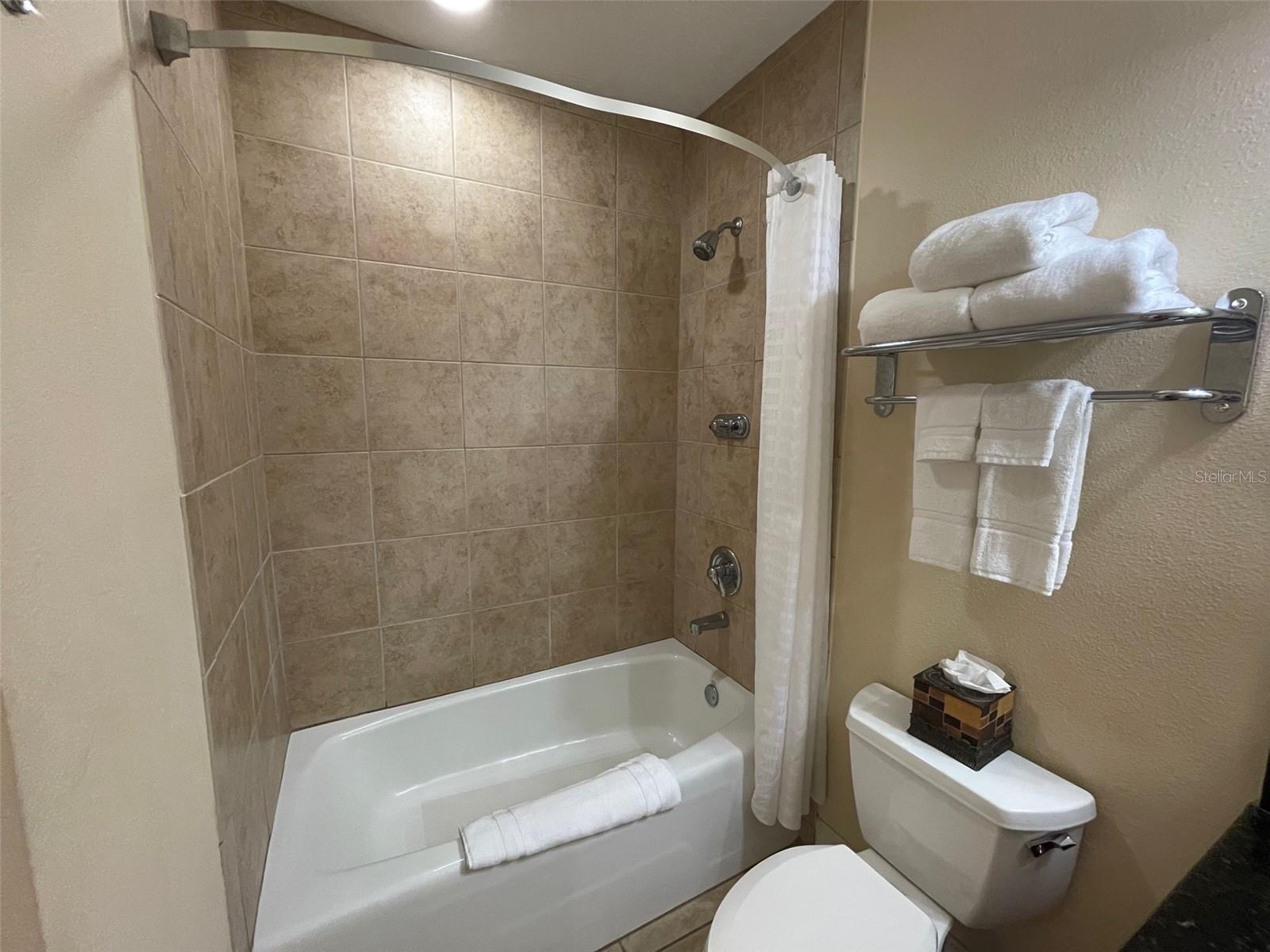 Guest bathroom