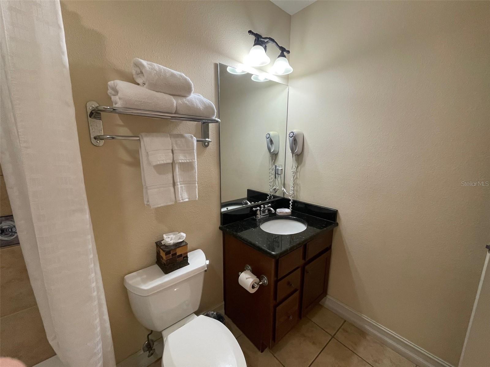 Guest bathroom