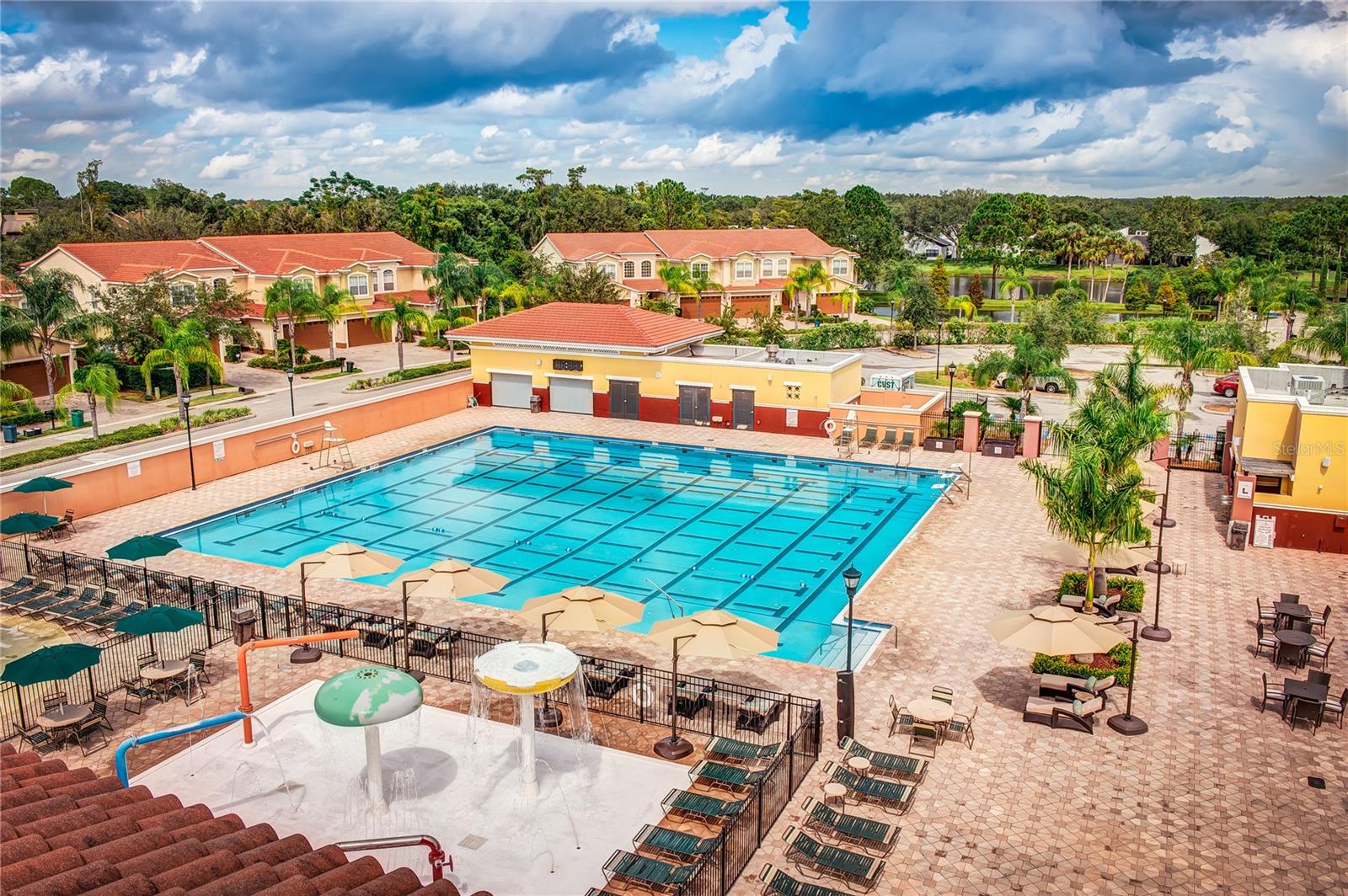 Areal Jr Olympic Sized Pool