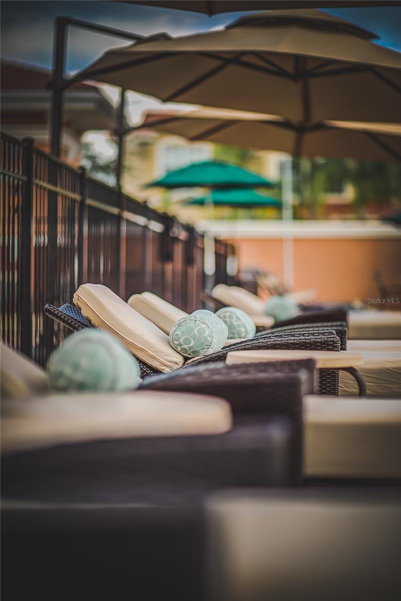 Pool loungers