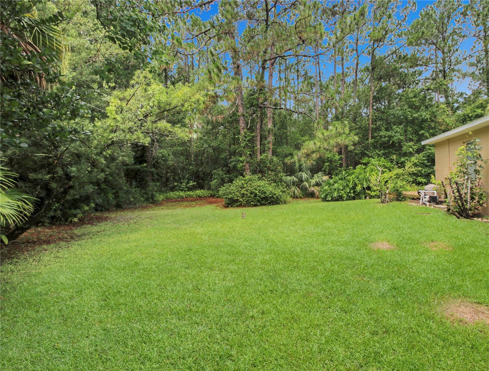 Side yard