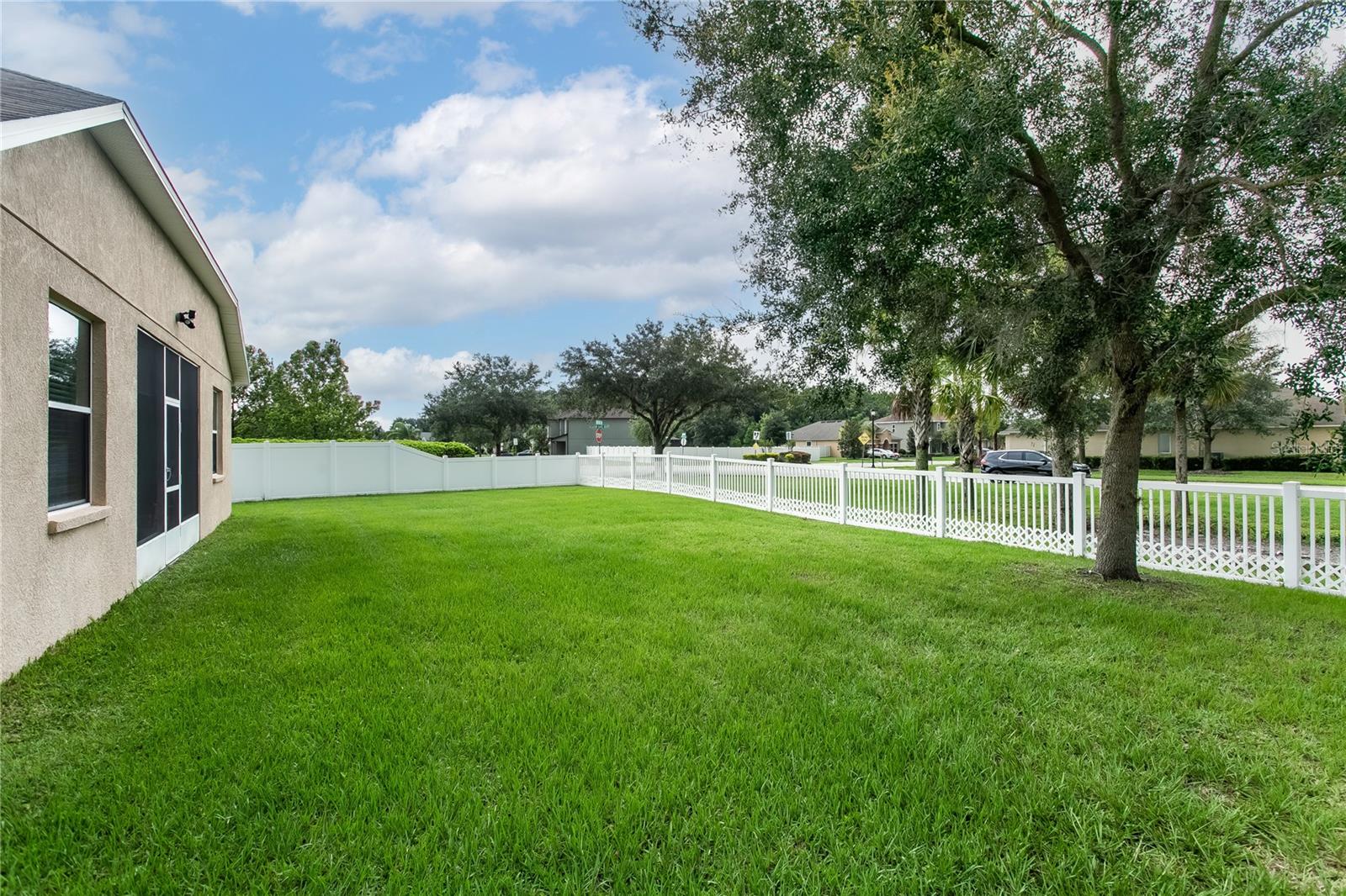Nice and open back yard
